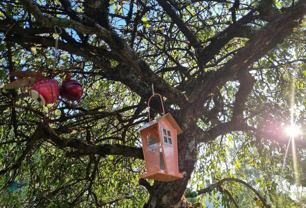Ferienwohnung La Fruitiere Chaudenay Exterior foto